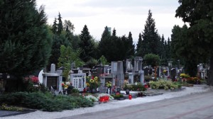kulechov2